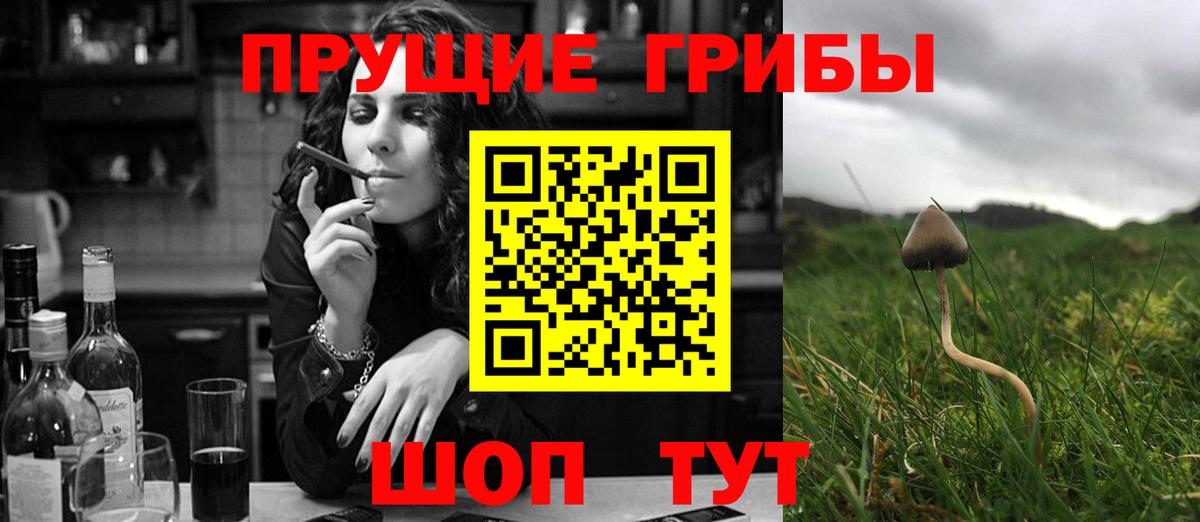 Псилоцибиновые грибы прущие грибы Ревда