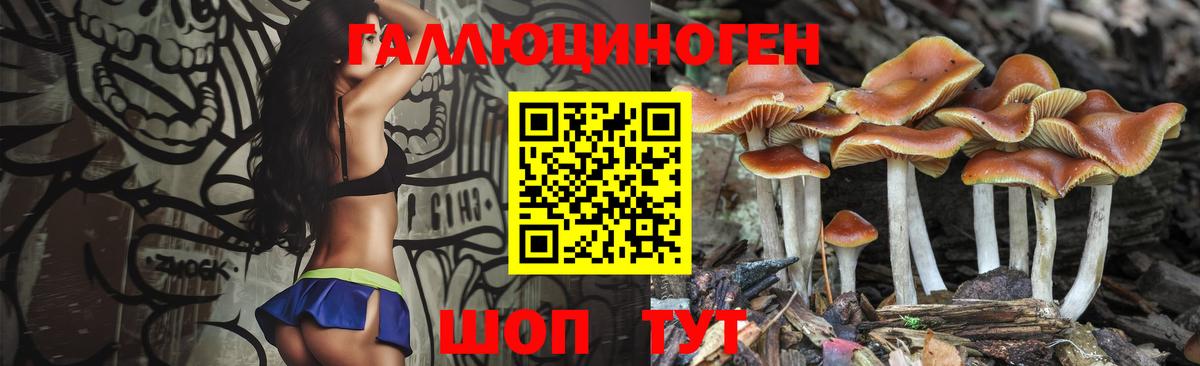 Ревда  Галлюциногенные грибы MAGIC MUSHROOMS  Вход с VPN 